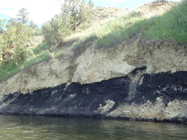 Natural coal seam along the Tongue River.