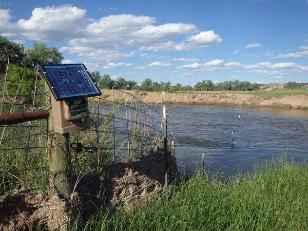 Electric fence across the Tongue River.