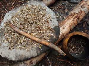 Ground sunflower seeds.