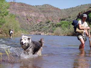 Hiking in Verde River.