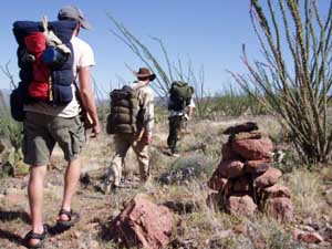 Walkabout in the desert.