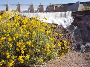 Horseshoe Dam.