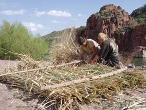 Building a reed raft.