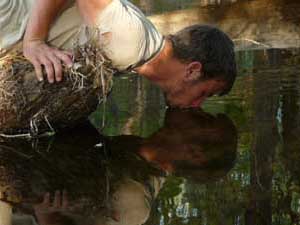 Drinking from watering hole.