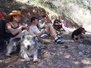 Resting and cooling off in shade.