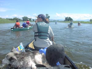 Canoeing Jefferson River.