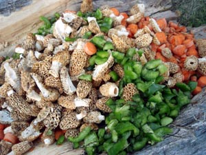 Morel Mushroom primitive stir fry ingredients.